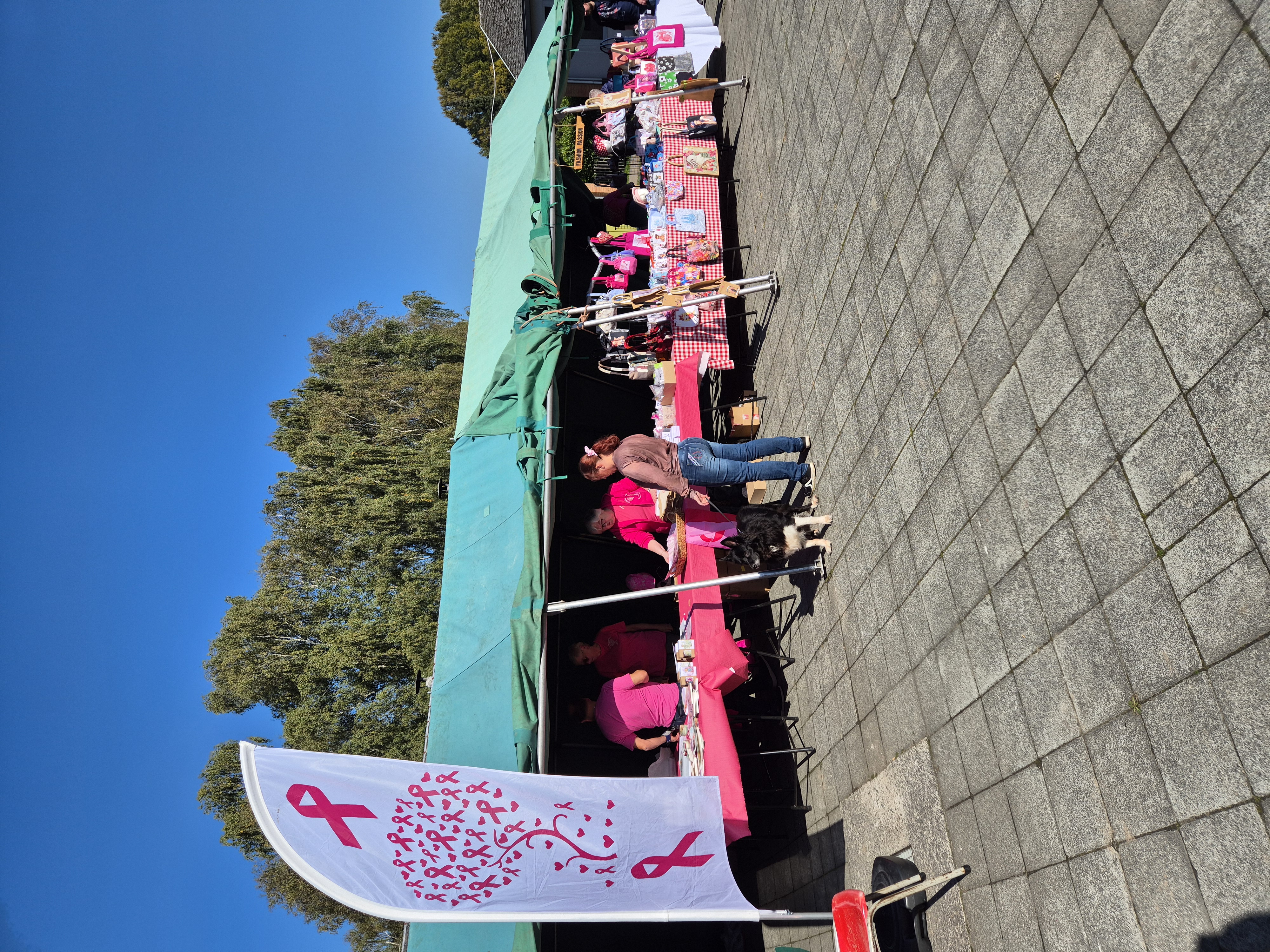 Emission &agrave; la journ&eacute;e Pink Day
